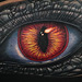 Tattoos - Reptilian Human Eye Tattoo - 89680